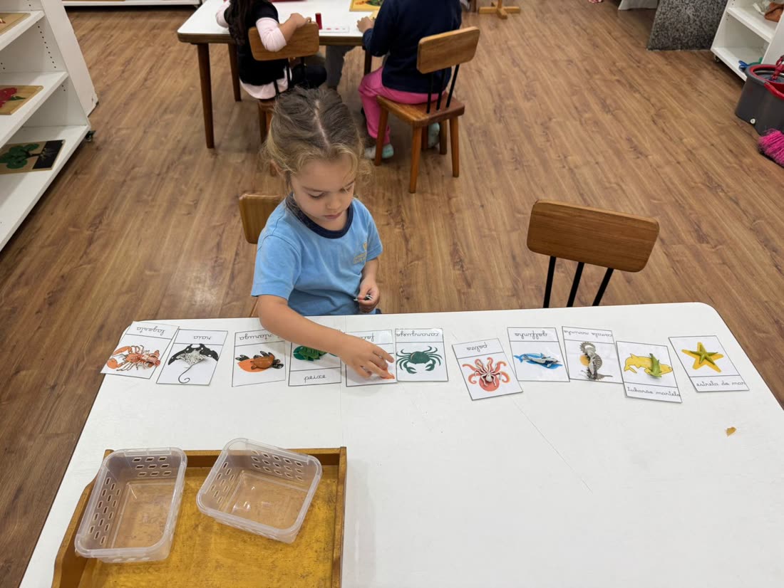Criança classificando cartões e miniaturas de animais marinhos numa mesa Montessori