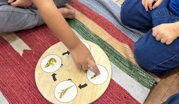 Criança apontando para o material Montessori do ciclo de vida da rã: um disco com as etapas, do ovo à rã adulta