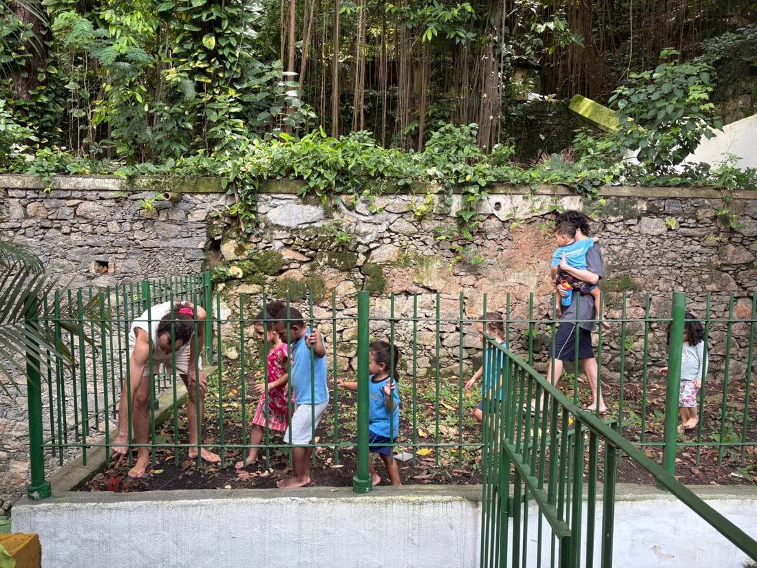 Vista ampla da horta da escola encostada num paredão de pedra tomado por vegetação densa, com crianças plantando no canteiro