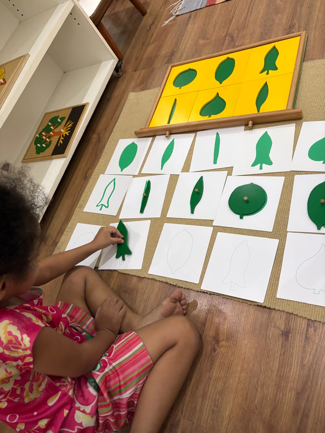 Criança pareando formas de folhas com o gabinete de botânica Montessori